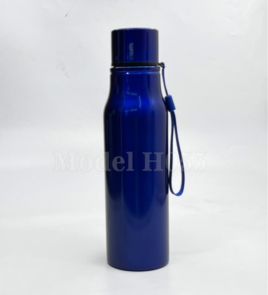 800ml Stainless Steel Water Bottle | Leak-Proof & Branded – H055